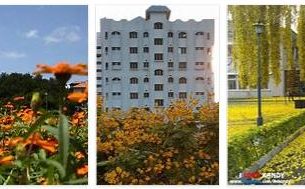 University of Flowers