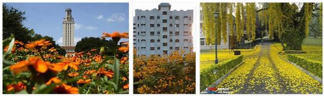 University of Flowers